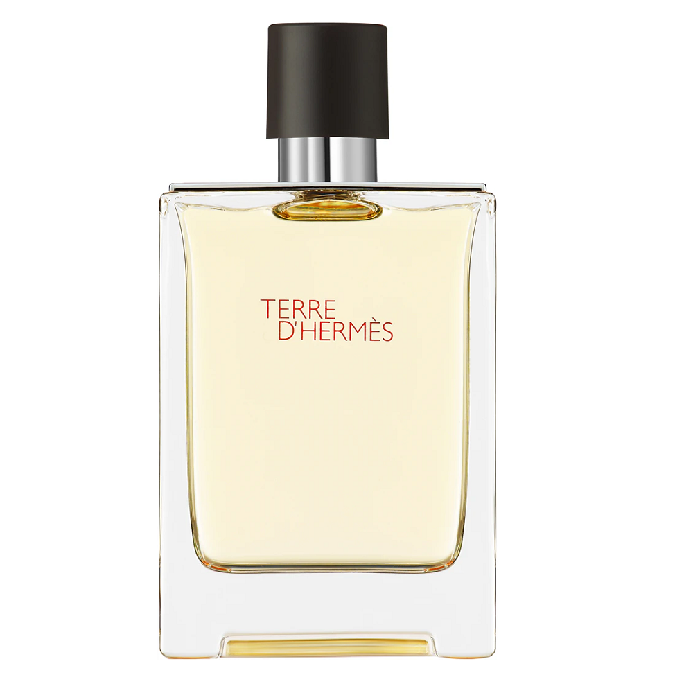 Hermès Terre d'Hermès Eau de Toilette 100 ml